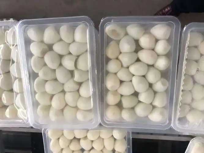 整線解決方案，優(yōu)化生產(chǎn)流程：鵪鶉蛋包裝神器來襲